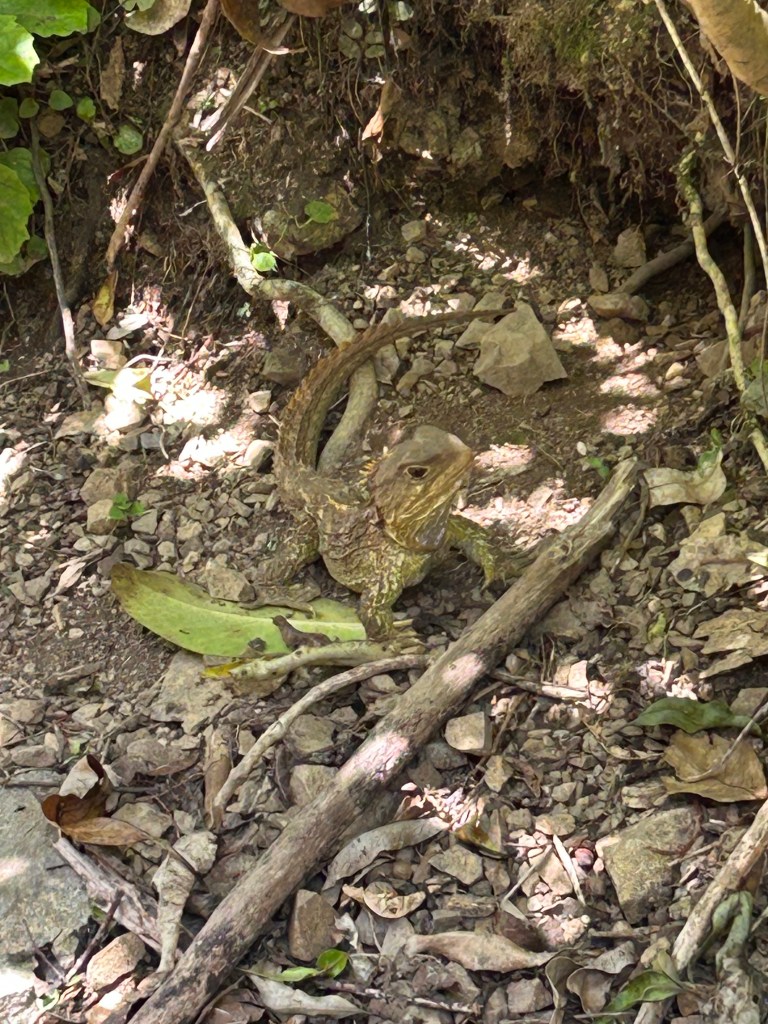 This image has an empty alt attribute; its file name is img_2091.jpg